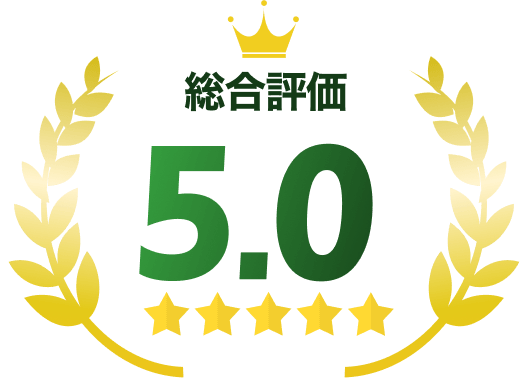 総合評価5.0
